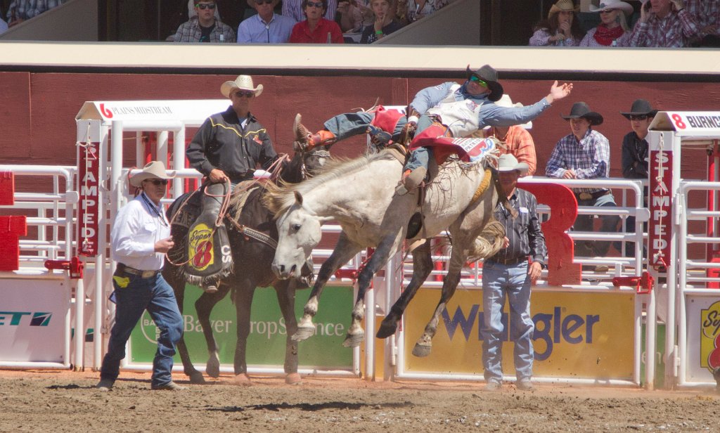 Calgary Stampede-1515.jpg